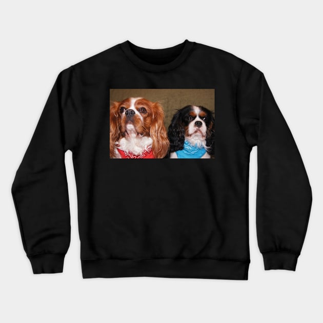 cavalier king charles spaniel pair Crewneck Sweatshirt by Wanderingangel